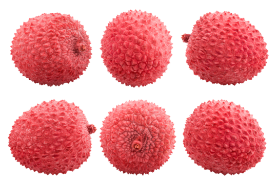 Lychee isolated on white background, full depth of field