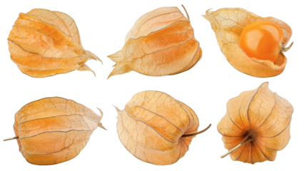 Cape gooseberry, physalis isolated on white background, full depth of field