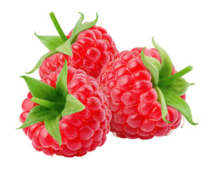 Raspberry isolated on white background, full depth of field