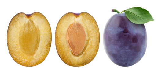 plum isolated on white background, full depth of field