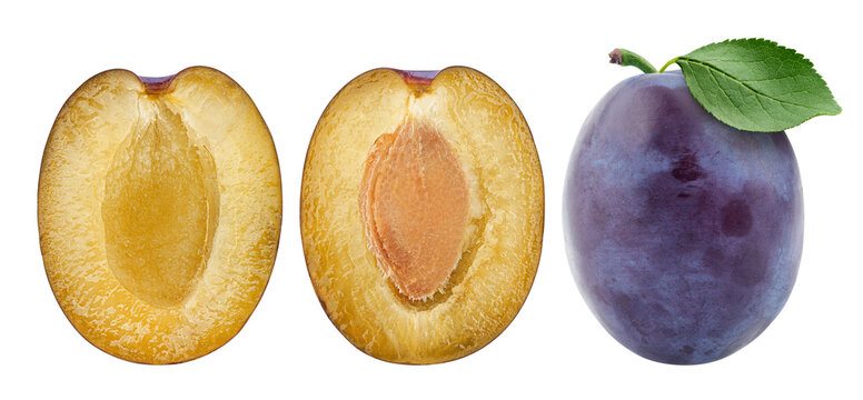 plum isolated on white background, full depth of field
