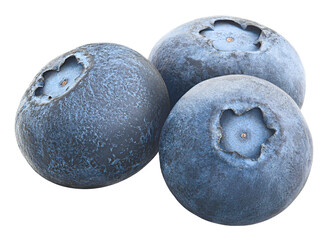 blueberry isolated on white background, full depth of field, high quality
