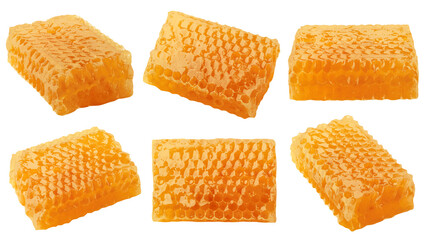 Honeycomb isolated on white background, clipping path, full depth of field
