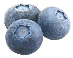 blueberry isolated on white background, full depth of field, high quality