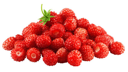 wild Strawberry isolated on white background, full depth of field