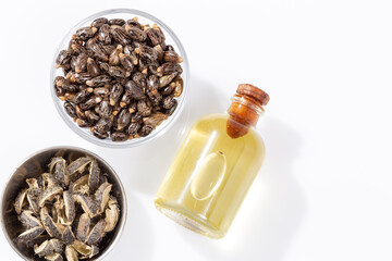 Ricinus communis - Dried seeds And Oil From The Fruit Of The Castor Bean Plant