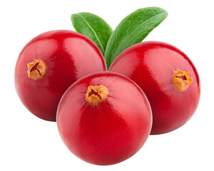 cranberry isolated on white background, full depth of field