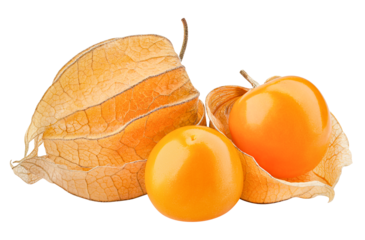 Cape gooseberry, physalis isolated on white background, full depth of field