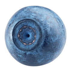 blueberry, isolated on white background, full depth of field