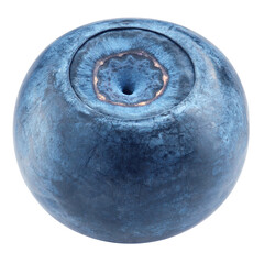 blueberry, isolated on white background, full depth of field