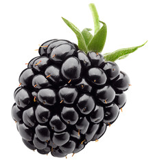 Blackberry isolated on white background, full depth of field