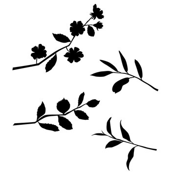Silhouettes of a branches with an apple or cherry flower with a leaf, a twig with leaves, vector, black color, isolated on a white background