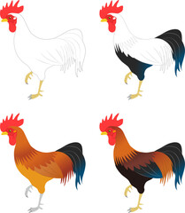 ニワトリ　セット