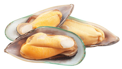 Mussel, green shell, isolated on white background, full depth of field