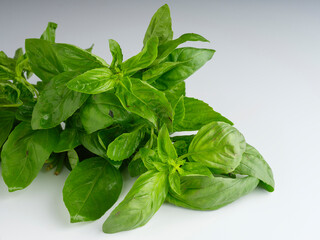 fresh basil leaves