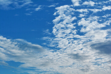 Fototapeta premium Sky. Blue sky with white clouds background. Curly clouds on a sunny summer day. Light cloudy. Good weather. Simple background sky for summer poster. Summer mock up. Soft focus.