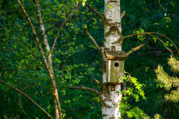 Prosta, zwykła drewniana budka lęgowa dla ptaków wisząca na drzewie. Schron
