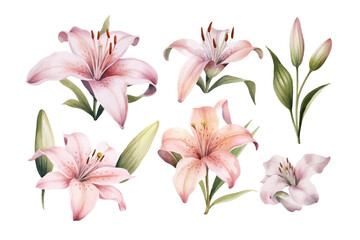 Obraz premium bouquet of pink lilies