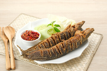 Lele Goreng or Fried Catfish, Indonesian traditional food. Served with chilli paste (sambal), cucumber and cabbage
