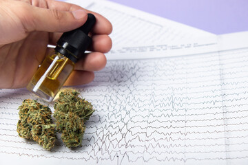 Male fingers hold a bottle of cbd oil extract, next to dry buds of medical marijuana.  Against the...