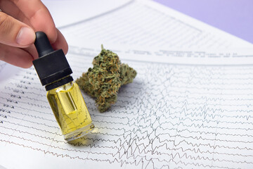 Male fingers hold a bottle of cbd oil extract, next to dry buds of medical marijuana.  Against the...