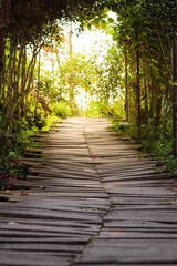 Obraz premium home page garden concept with paths made of wood and pebbles