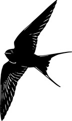 Swalllow bird silhouette vector
