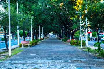 Naklejka premium Canteiro da Frei Serafim - Teresina