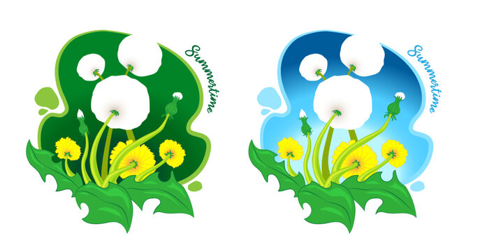 Dandelion summer mood vector illustration. Cute blowball image.
