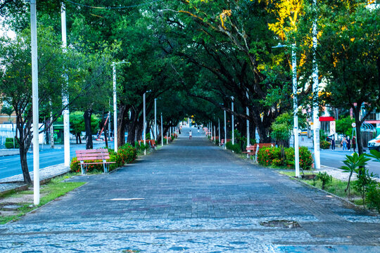 Canteiro da Frei Serafim - Teresina