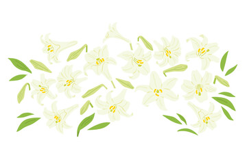 ユリの花のイラスト（カラー）