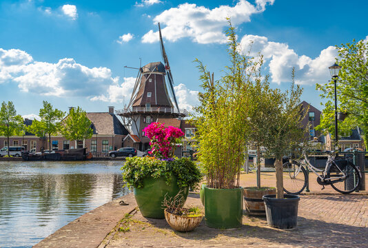 Scenery with historical dutch windmill and plants by the canal in  the city of Meppel