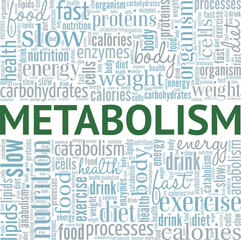 Metabolism word cloud conceptual design isolated on white background.