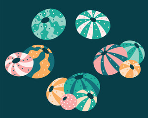 collection of round sea urchins in groups and singles with stripes and dots