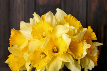 Fototapeta premium Bouquet of beautiful yellow daffodils near wall, closeup