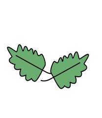 green leaf
