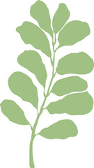 Leaf of floral isolated design