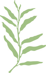 Leaf of floral isolated design