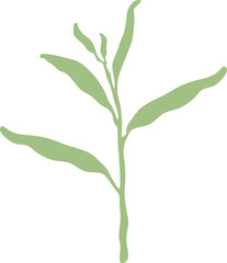 Leaf of floral isolated design