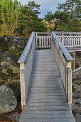 Fototapeta na wymiar Wooden bridge walkway in the forest