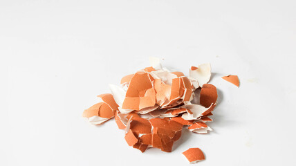 eggshell on white isolated background