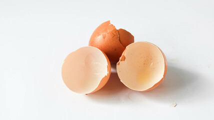 eggshell on white isolated background