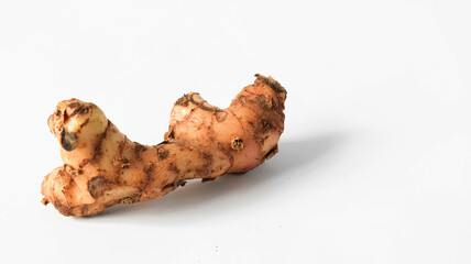 galangal on white isolated background