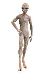 Grey alien on transparent background, 3d render