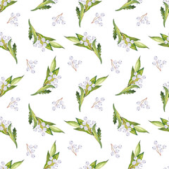White berries and leaves. Delicate watercolor hand drawn seamless pattern on white background. Texture for wrapping paper, fabrics, decor, textile. Also suitable for wedding decoration.