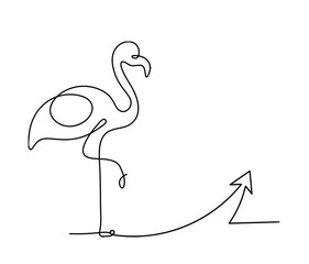 Silhouette of abstract flamingo and direction as line drawing on white