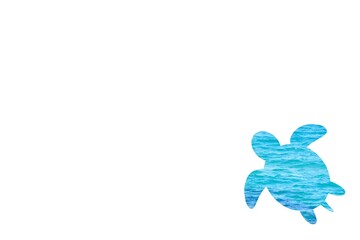 ウミガメと水