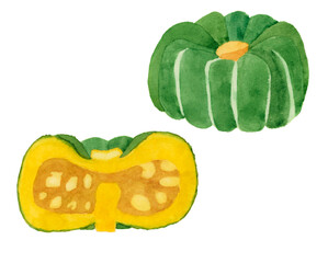カボチャ　水彩