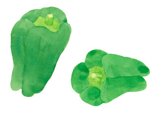 ピーマン　水彩