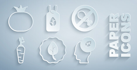 Set Leaf or leaves, No meat, Carrot, Human head with leaf inside, Vegan food diet and Tomato icon. Vector